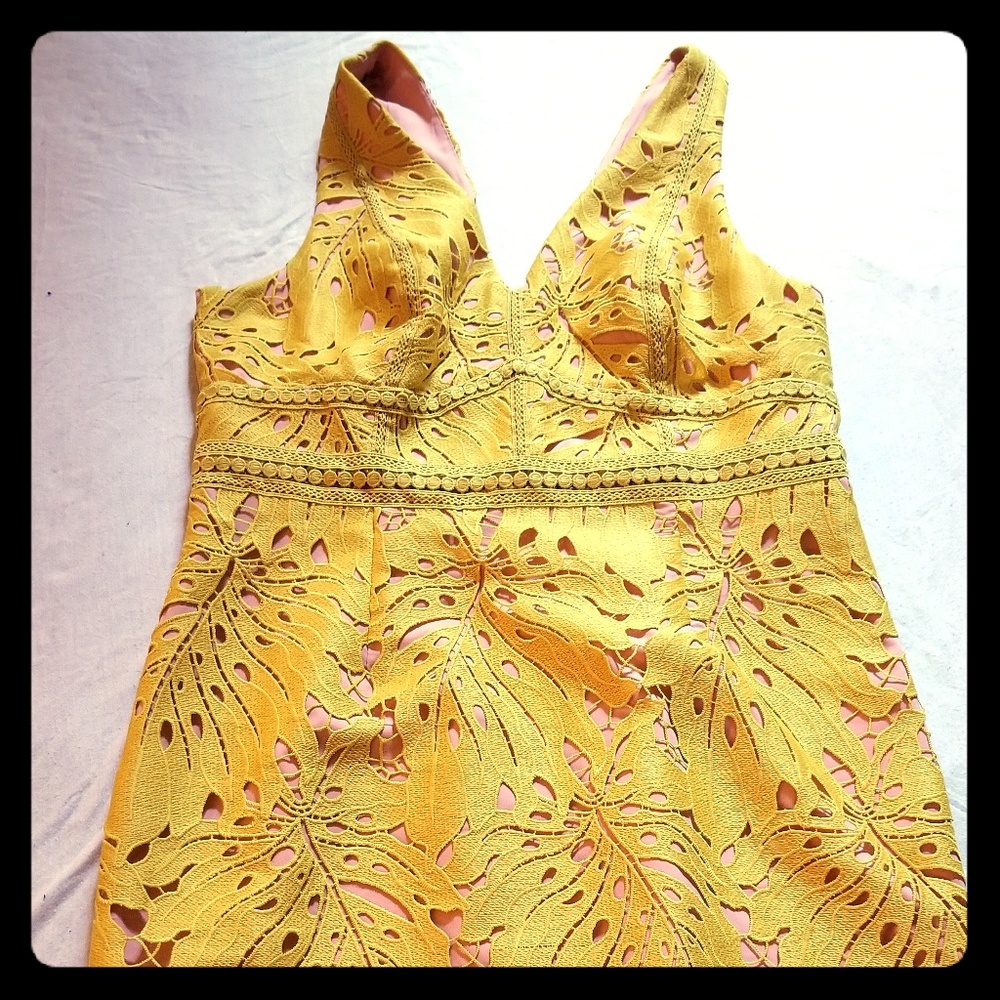 NWOT Anthropologie Cocktail Dress Sz 16